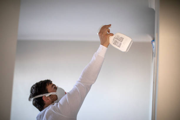 Best Bathroom Mold Remediation in Early, TX